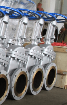 ANSI Gate Valve