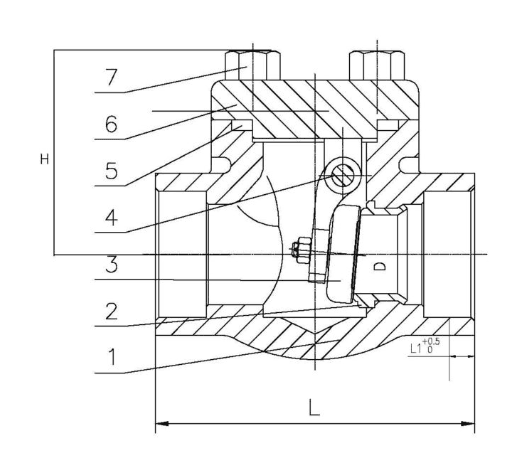 Forged Steel Check Valve