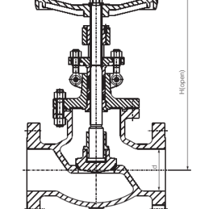 Incoloy Globe Valve