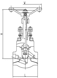 Super Duplex 5a Globe Valve