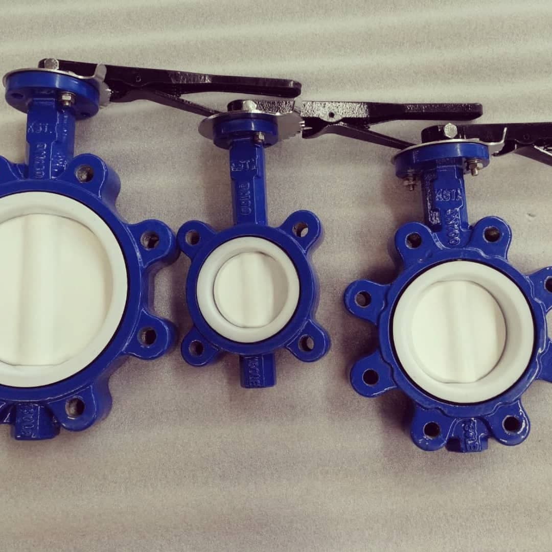 Wafer Butterfly Valve