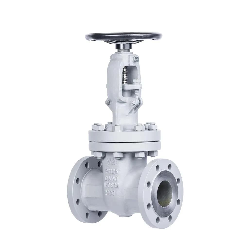 F321 Gate Valve