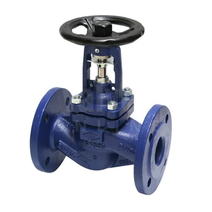 F44 Globe Valve