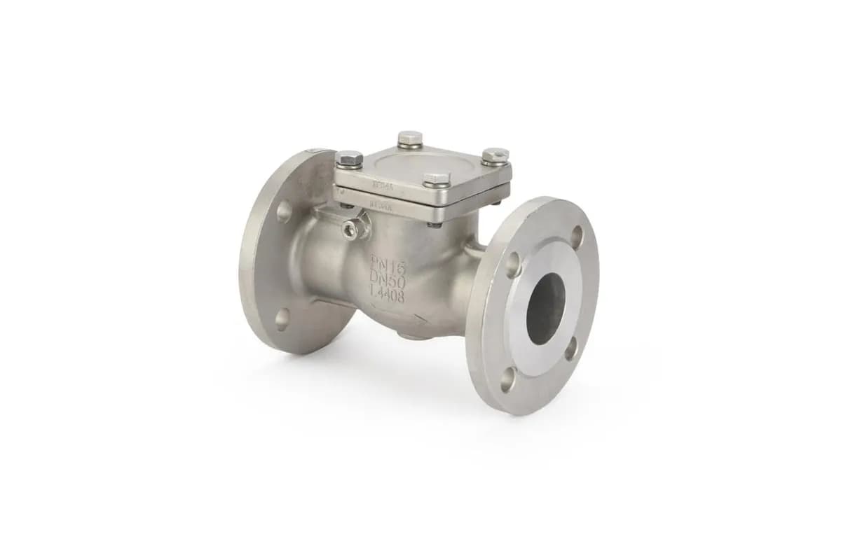 Hastelloy C276/B3 Swing Check Valve