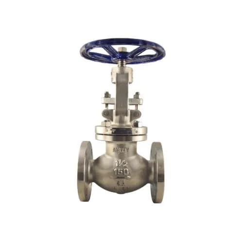 F53/F55 Super Duplex Globe Valve