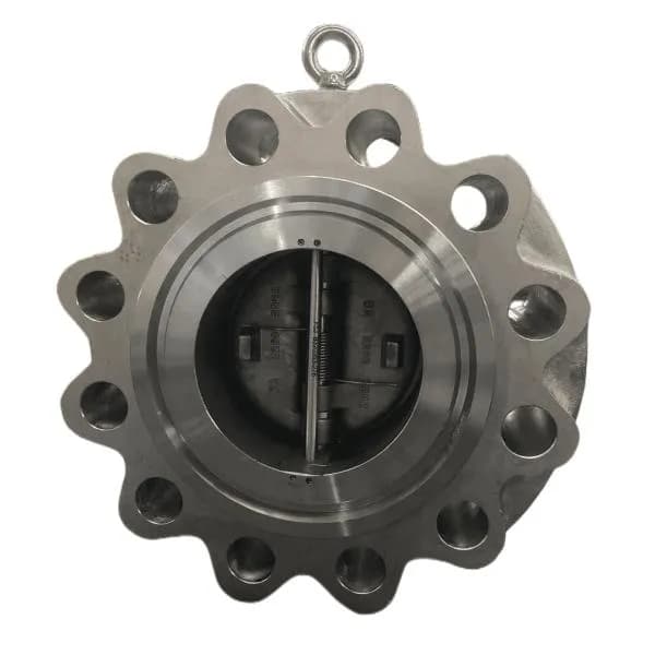 Super Duplex Dual Plate Lug Type Check Valve