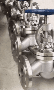 Stainless Steel 316 Bellow Seal Globe Valve