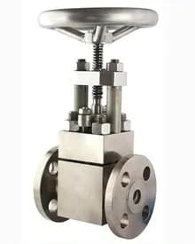 Hastelloy C276 B3 Gate Valve