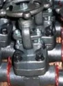 Alloy Gate Valve