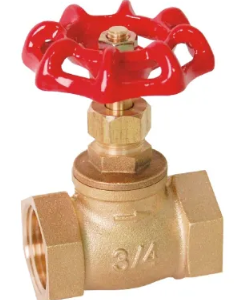 Brass Globe Valve