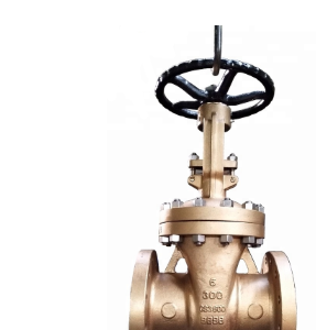 Bronze Flanged Gate Valve