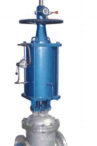 Pneumatic Actuated Gate Valve