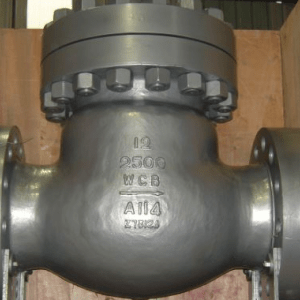 Pressure Seal Check Valve