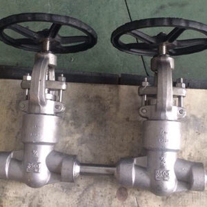 Alloy Steel Pressure Seal Globe Valve