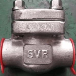 Swing Check Valve