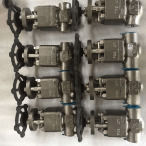 F53/F55 Super Duplex Globe Valve