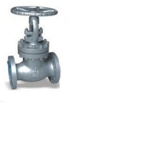 Incoloy Globe Valve